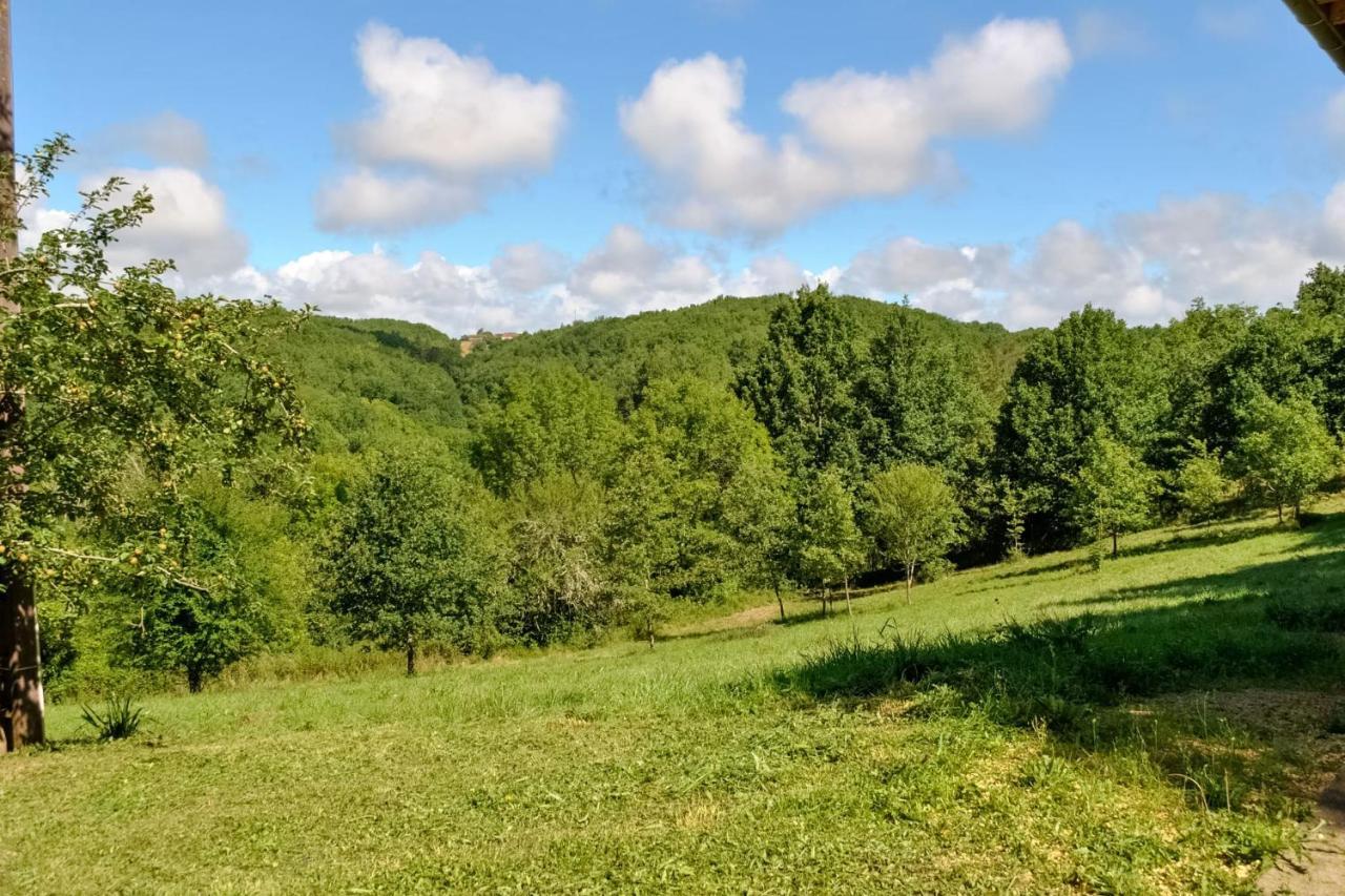 Ancienne Sechoir A Tabac Idealement Place A Limeuil Pour 4 Dans La Nature 外观 照片