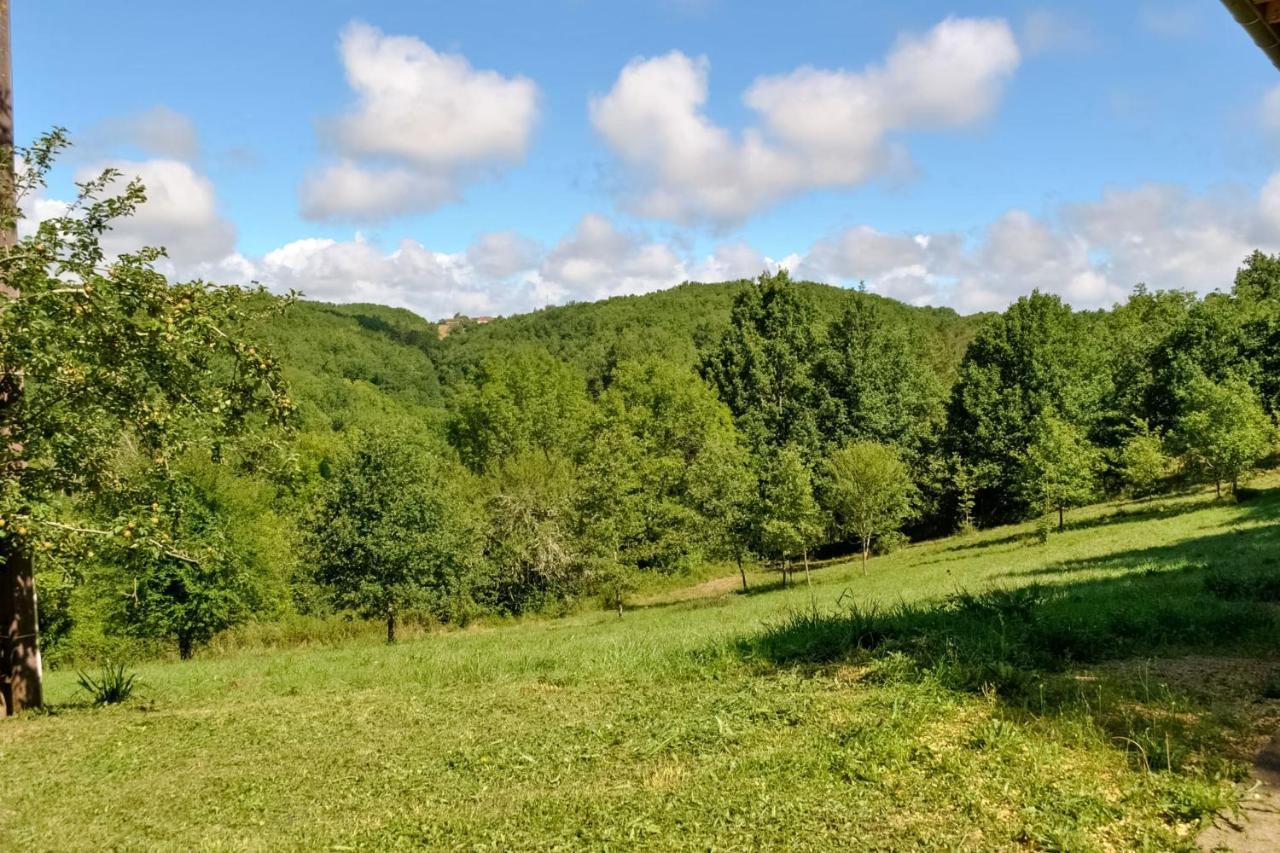 Ancienne Sechoir A Tabac Idealement Place A Limeuil Pour 4 Dans La Nature别墅 外观 照片